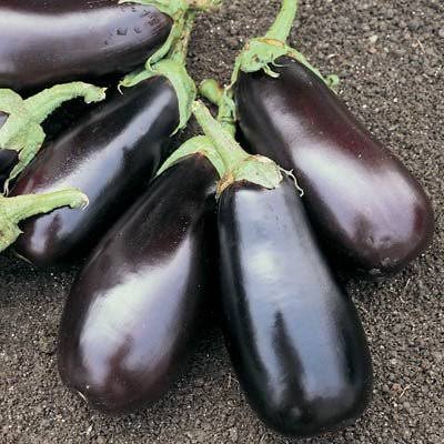 Chopped Brinjal