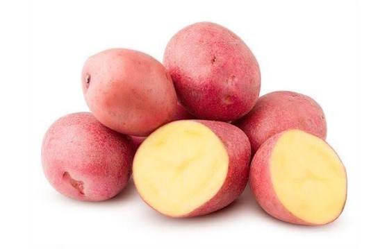 Potato