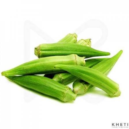 Okra (Bhindi)