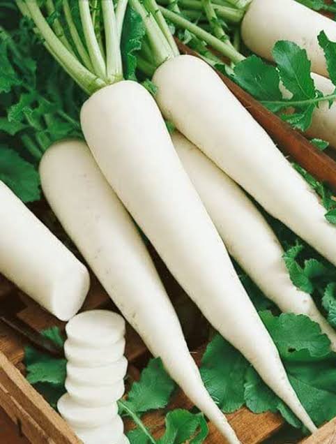 Radish