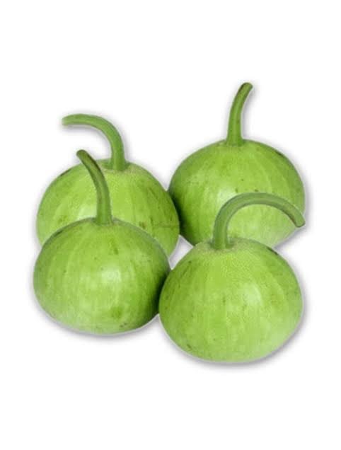 (کدو)