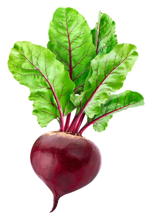 چقندر