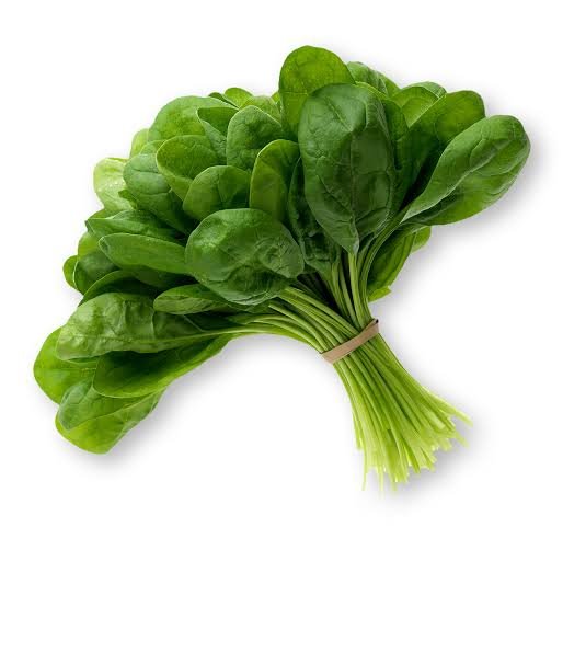 پالک